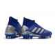 Scarpe da Calcio adidas Predator 19 + FG - Blu Argento