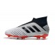 Scarpe da Calcio adidas Predator 19 + FG - Argento Nero Rosso