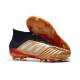 adidas Predator 19.1 FG Scarpa da Calcio - Oro Rosso Argento