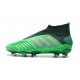 Scarpe da Calcio adidas Predator 19 + FG - Verde Argento