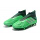 Scarpe da Calcio adidas Predator 19 + FG - Verde Argento