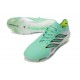 Scarpe da Calcio adidas Predator L Elite FG Verde Argento