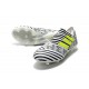 Scarpe da Calcio adidas Nemeziz Messi 17+ 360 Agility FG Nero Bianco Verde