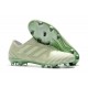 Scarpe adidas Nemeziz Messi 17+ 360 Agility Terreni Compatti - Verde